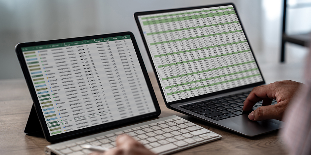Learn Filtering Techniques in Microsoft Excel