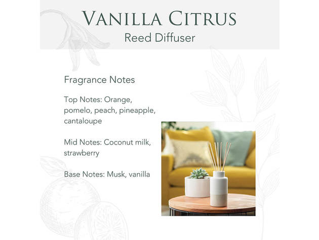 Candle Warmers RDVNC Vanilla Citrus Reed Diffuser