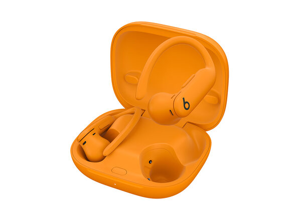 Beats Powerbeats Pro 2 Wireless Bluetooth Earbuds - Electric