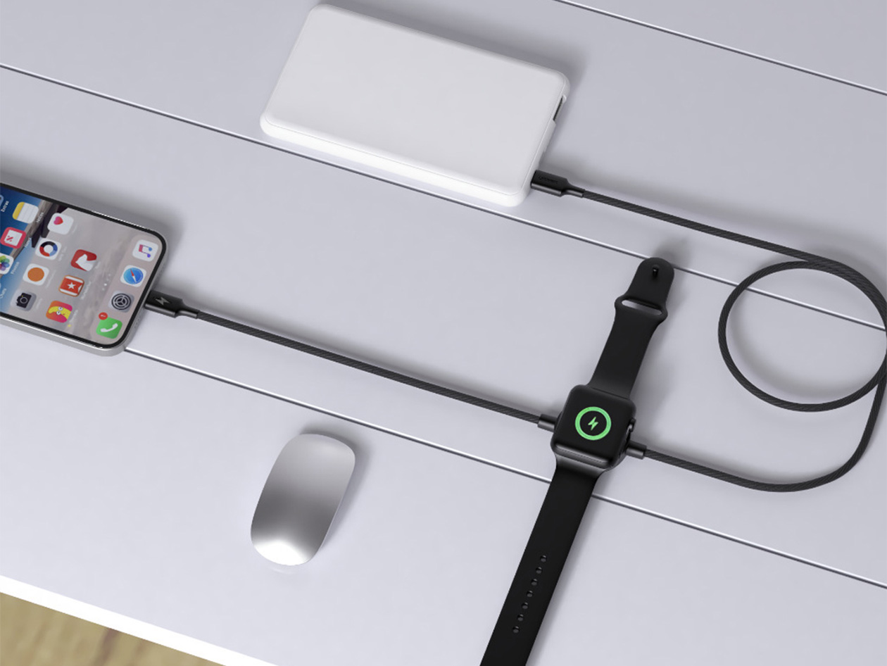 2-in-1 USB-C 65W Charging Cable with Built-in Apple Watch Charger (2-Pack)