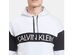 Calvin Klein Men's Statement 1981 Color Blocked Logo Hoodie White Size Small