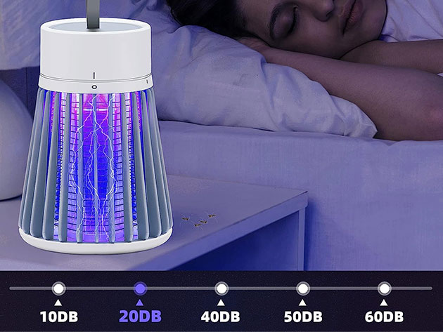 Battery-Powered LED Fly & Mosquito Zapper 