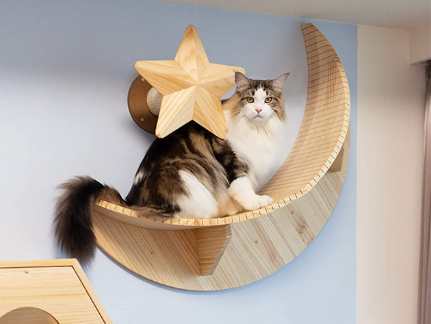 MyZoo Luna: Crescent Moon Shape Wall-Mounted Cat Bed