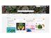 PromoRepublic Start Plus Plan: Lifetime Subscription