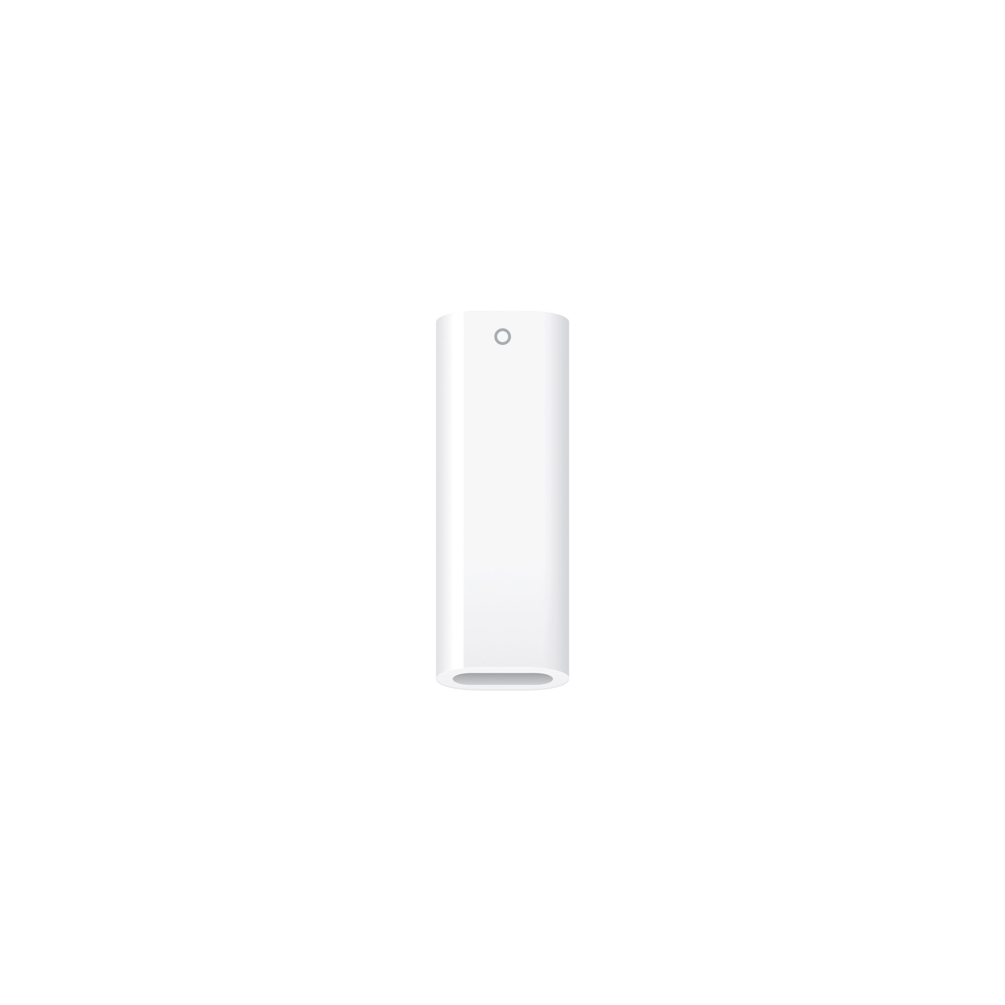 Apple Pencil 1st Gen with USB-C to Pencil Adapter (Refurbished)