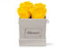 Chounette Preserved Roses Combo Set: (Yellow Roses/White Boxes) 