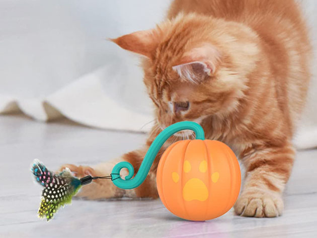 Interactive Cat Toy with LED Light (Orange)