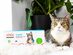 Basepaws Breed + Health DNA Test: At-Home Cat Genetics Test