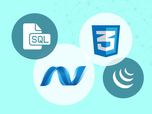 A SQL Server, ASP.NET, CSS, C# & jQuery Course