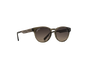 Olive/Brown Gradient Polarized