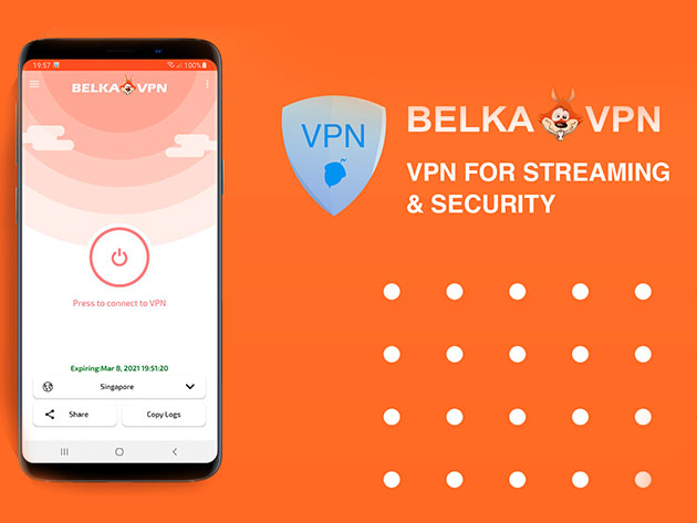 BelkaVPN: Lifetime Subscription