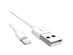 Wall 2.4 Amps 12 Watts USB Fast Power Adapter with 1m Lightning Cable Compatible with iPad & iPhones-White