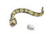 Odyssey ODY599 RC Angry Anaconda and Meddling Mouse Combo Pack