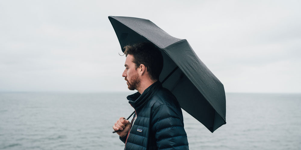 Hedgehog Umbrella