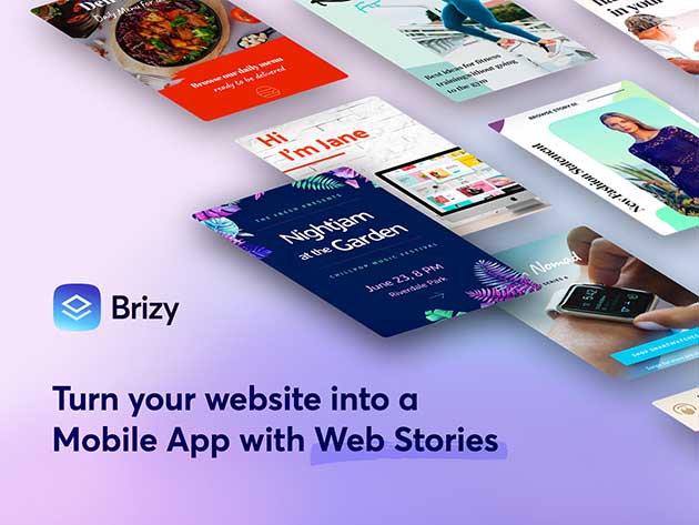 Brizy Next-Gen WordPress Website Builder: Lifetime Freelancer Plan