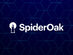 SpiderOak ONE 1TB Cloud Storage: 1-Yr Subscription