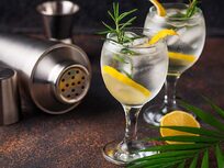 The Ultimate Gin-Cocktail Course - Product Image