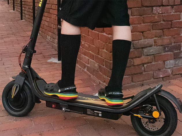 Electric Folding Scooter - 500W
