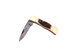 Croco Knives® Folding Lock Back Knife (CK-3004 | Stag Horn Handle)