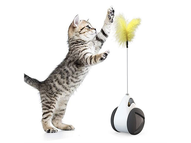 With a Feather & Ball, This Interactive Toy Keeps Your Cat Entertained and Active at the Same Time