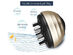 Liquid Comb (Gold)