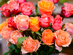 2 Dozen Farmer's Color Choice Long-Stem Roses + Vase Shipped for Only $49.99!