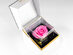Suóno: Forever Rose with Personalized Audio Message (Pink)