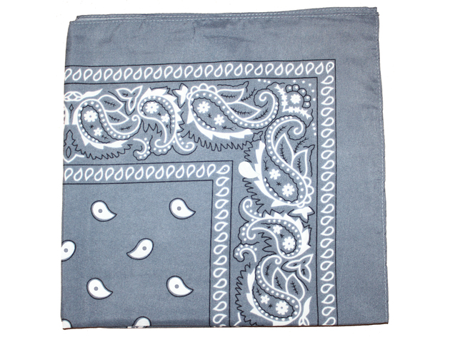 Mechaly Paisley 100% Polyester Bandana - Grey | StackSocial