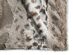 BuddyRest Lynx Dog Armour™ Blanket (Beige/Large)