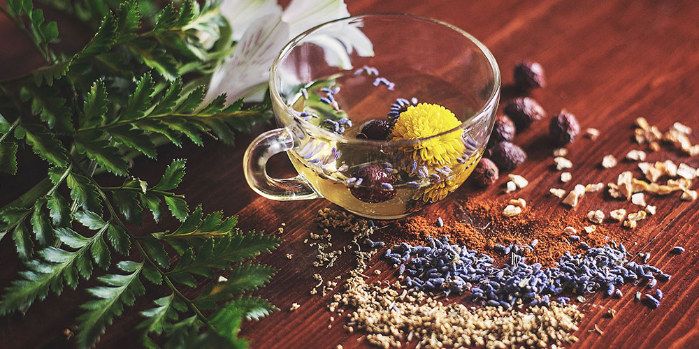 Herbalism: Longevity Herb Recipes