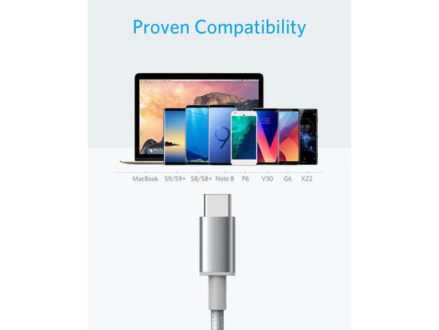 Anker Premium Double-Braided Nylon USB-C to USB-A Cable (Silver/2-Pack)