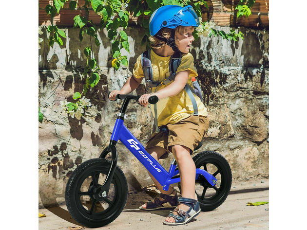 12"Kid Balance Bike Learn to Ride No-Pedal Pre Bike Adjustable Seat High Quality 