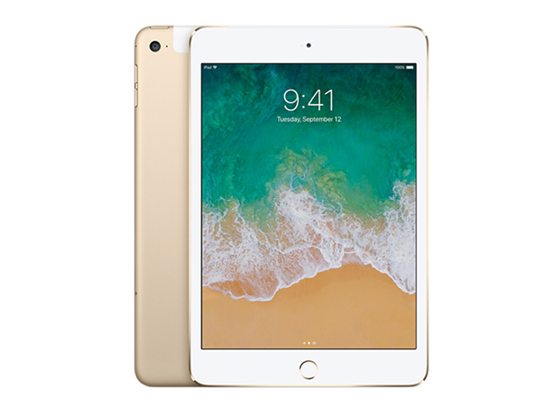 Apple iPad mini 4, 16GB - Gold (Refurbished: Wi-Fi Only) | The Next