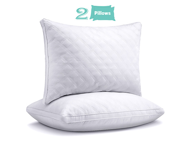 Sable Premium Down Alternative Gusseted Bed Pillows (2-Pack)