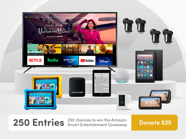 Donate $25 for 250 Entries - Product Image