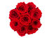 Rose Box™ Velvet Gray Box & Long-Lasting Roses (Red Flame)