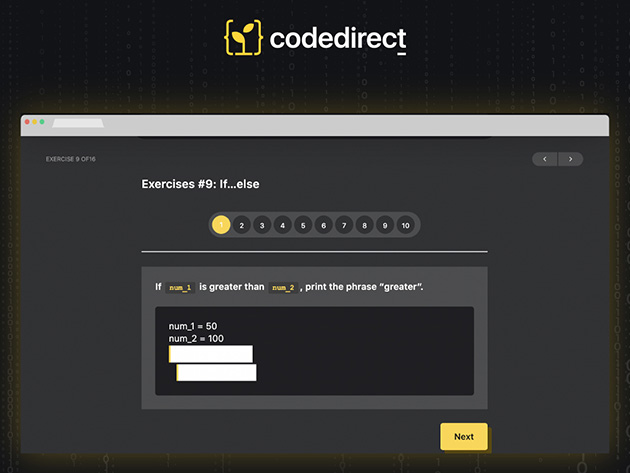 Code Direct Python Interactive Coding Lifetime Access StackSocial