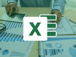 The Complete Microsoft Excel & VBA Bundle