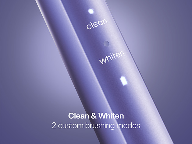 AquaSonic Icon Toothbrush with Magnetic Holder & Slim Travel Case (Purple)