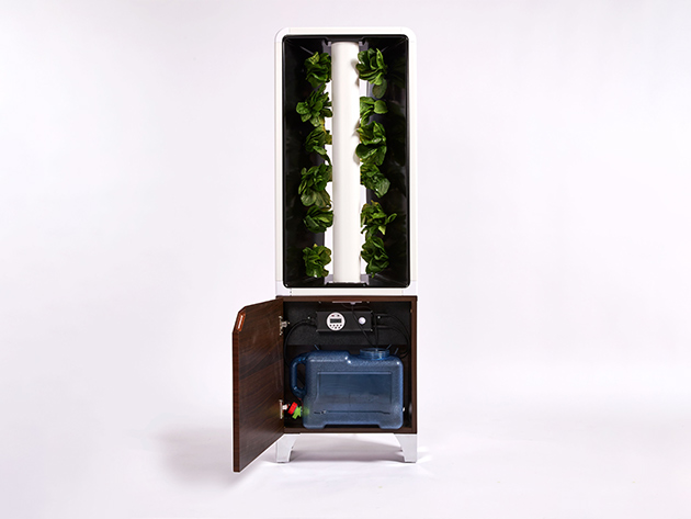 Grow Fresh, Pesticide-Free Food in the Comfort of Your Home with this Modern Hydroponic Garden System