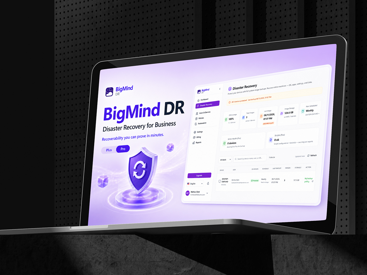 BigMind Data Recovery Pro Plan: Lifetime Subscription