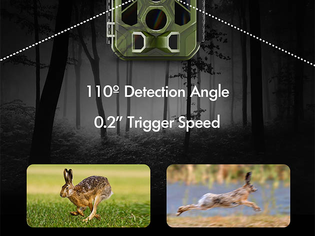 Rexing H3 Electronic Animal Caller Trail Cam 