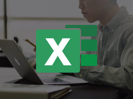 eLearnExcel: The Excel Certification School Bundle