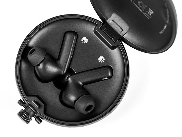PaMu Quiet Active Noise Cancelling Wireless Earbuds
