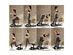 Gpolus 8-in-1 Multifunction Squat Machine Deep Sissy Squat Home Gym Fitness Ab Trainer Black