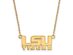 14k Yellow Gold Louisiana State Small 'LSU' Pendant Necklace