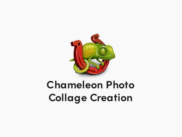 Stack Social Deal for Akvis Chameleon Photo Collage Creator: Lifetime License