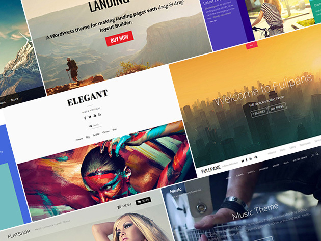 Themify Unlimited WordPress Themes: 1-Yr Subscription