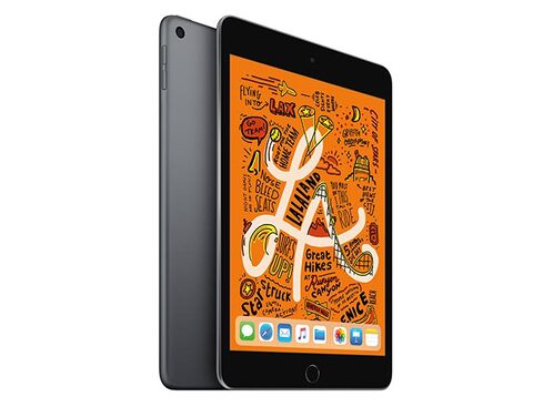 Apple iPad Mini 5 7.9
