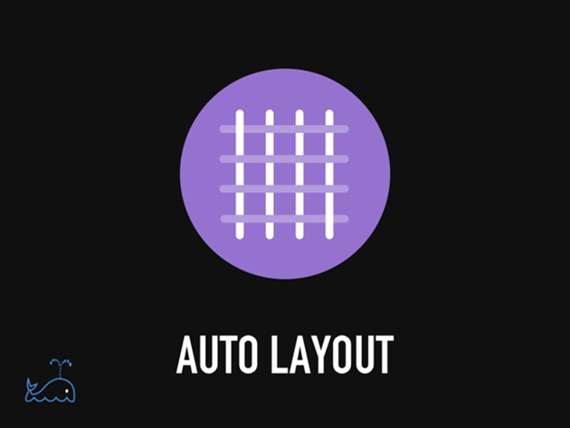 The Bitfountain Auto Layout Immersive Course